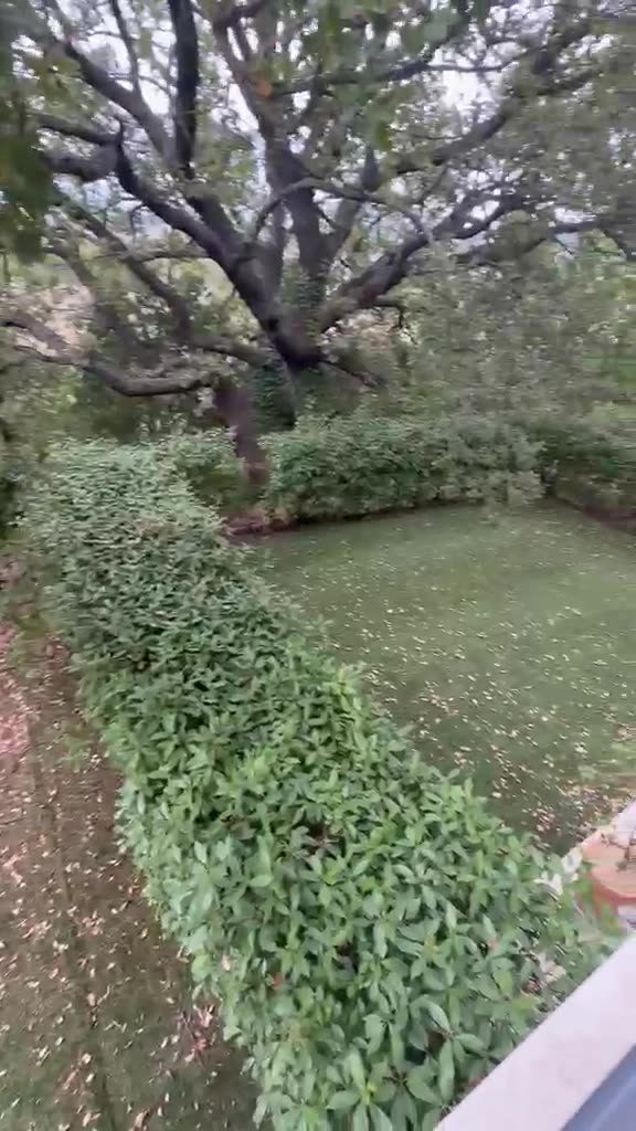 Vidéo à publier