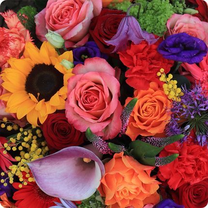 Plusieurs réalisations florales
