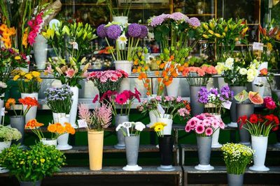 Plusieurs bouquets, une grande diversité
